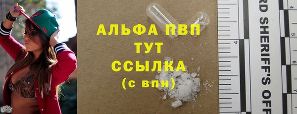 гашик Алексин