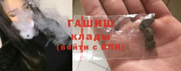 гашик Алексин