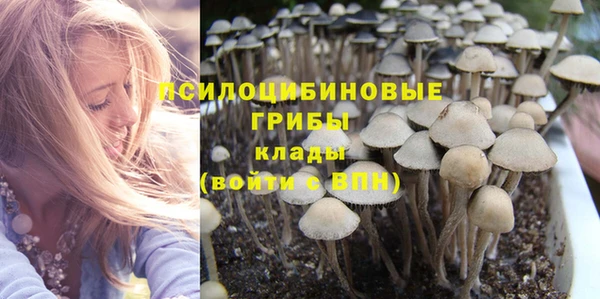 круглые Алексеевка