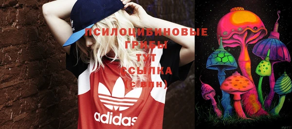 круглые Алексеевка