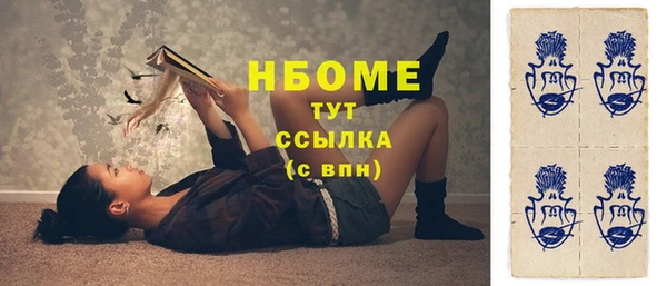 гашик Алексин