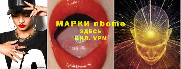 гашик Алексин